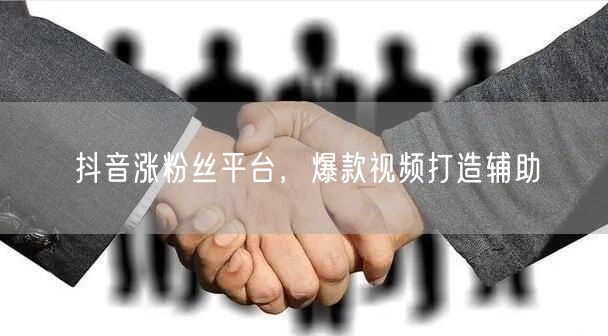 抖音涨粉丝平台，爆款视频打造辅助