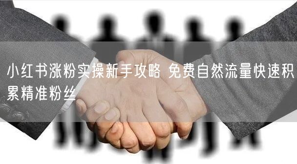 小红书涨粉实操新手攻略 免费自然流量快速积累精准粉丝