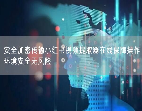 安全加密传输小红书视频提取器在线保障操作环境安全无风险