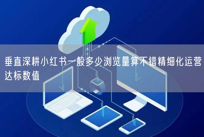 垂直深耕小红书一般多少浏览量算不错精细化运营达标数值