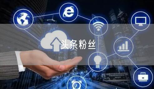 头条粉丝