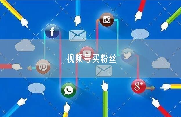 视频号买粉丝