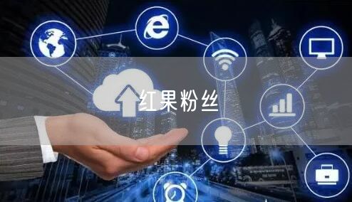 红果粉丝