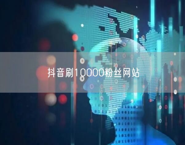 抖音刷10000粉丝网站