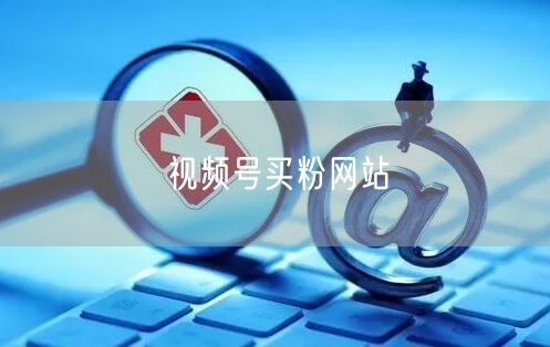 视频号买粉网站
