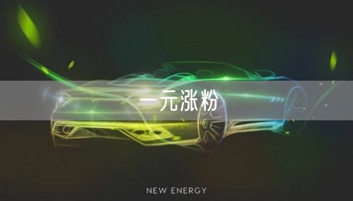 一元涨粉