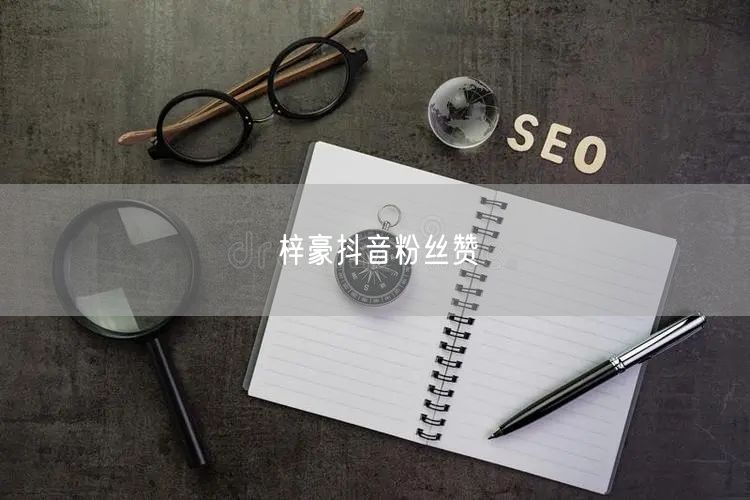 梓豪抖音粉丝赞