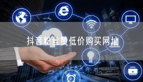 抖音粉丝赞低价购买网址