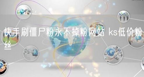 快手刷僵尸粉永不掉粉网站 ks低价粉丝