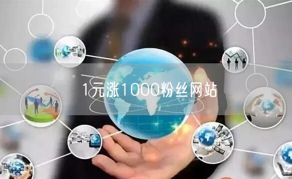 1元涨1000粉丝网站